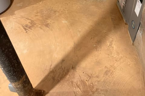 Musty Smell Basement Causes — a real Crawl Daddy Experts job