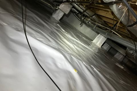 Crawl Space Repair — a real Crawl Daddy Experts job
