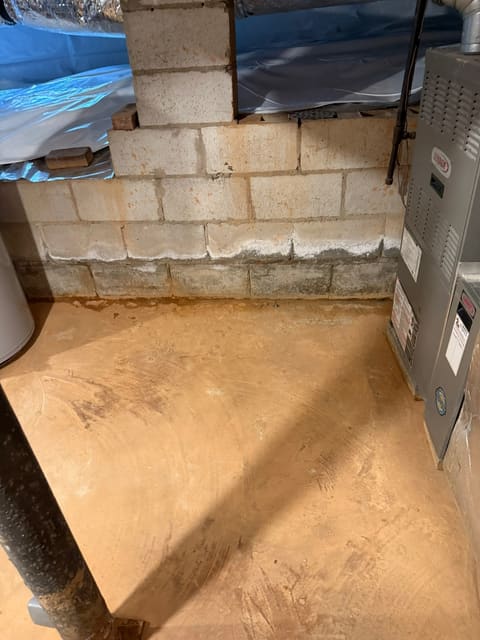 Moisture staining and white efflorescence creeping up a damp block foundation wall — the conditions crawl space mold thrives in